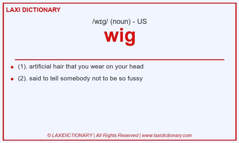 Definition wig in American English