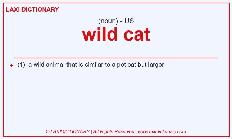 Definition wild cat in American English