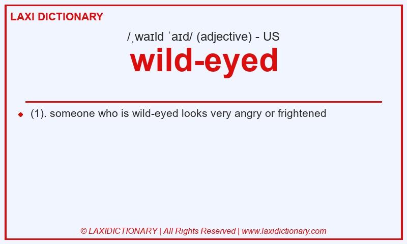 Definition wild-eyed in American English