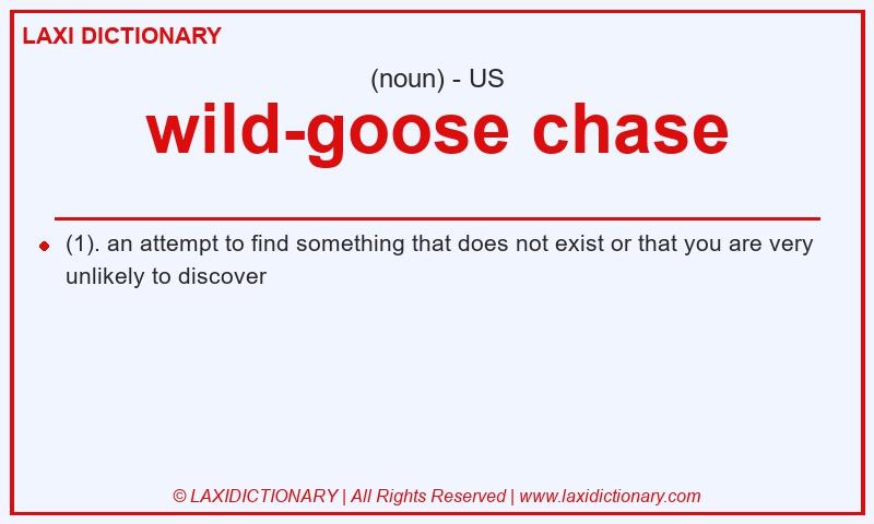 Definition wild-goose chase in American English