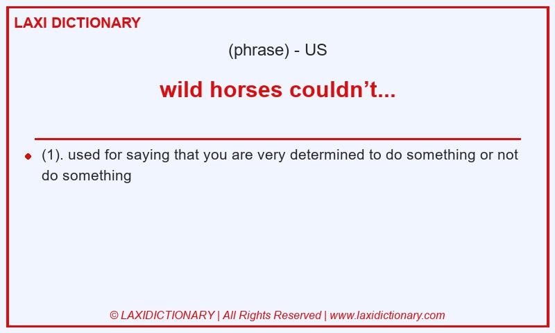 Definition wild horses couldn’t... in American English
