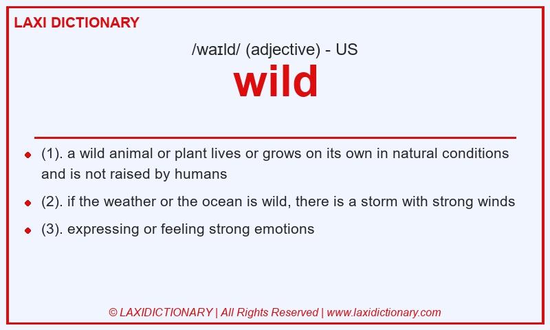 Definition wild in American English