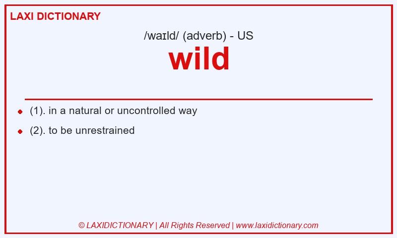 Definition wild in American English