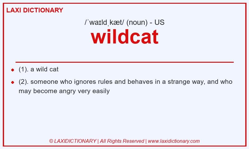 Definition wildcat in American English