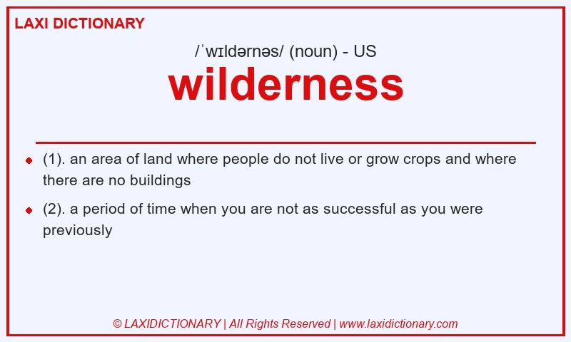 Definition wilderness in American English