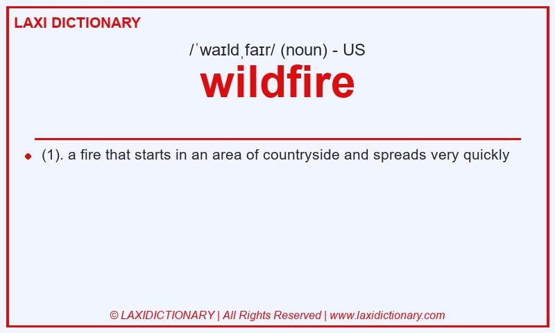 Definition wildfire in American English
