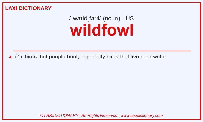 Definition wildfowl in American English