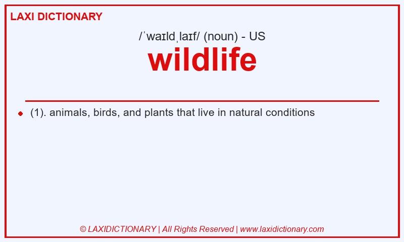 Definition wildlife in American English