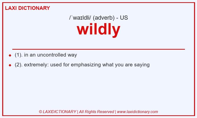 Definition wildly in American English