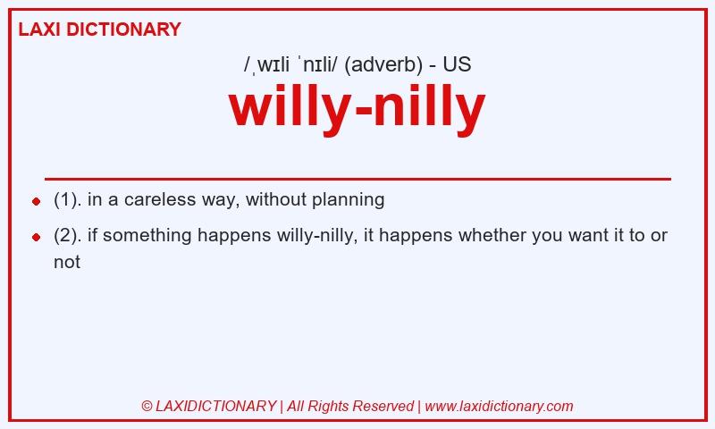 Definition willy-nilly in American English