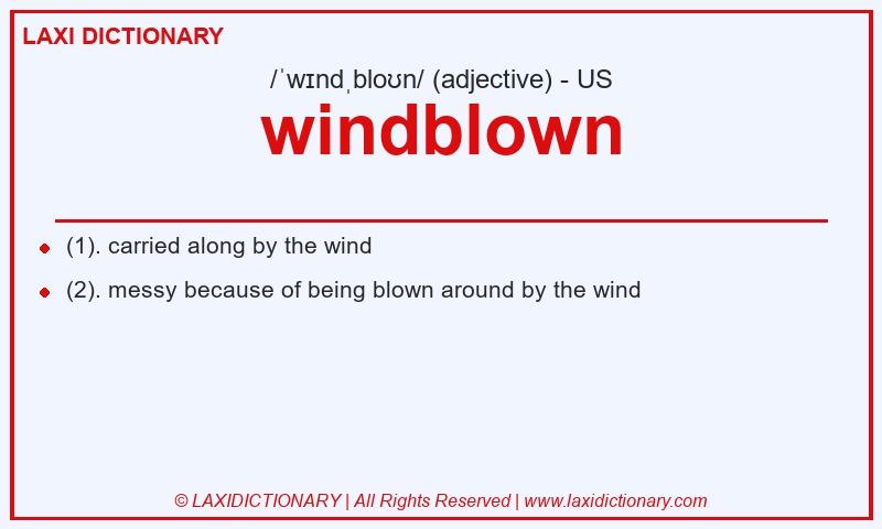 Definition windblown in American English