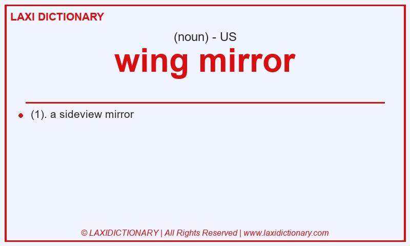 Definition wing mirror in American English