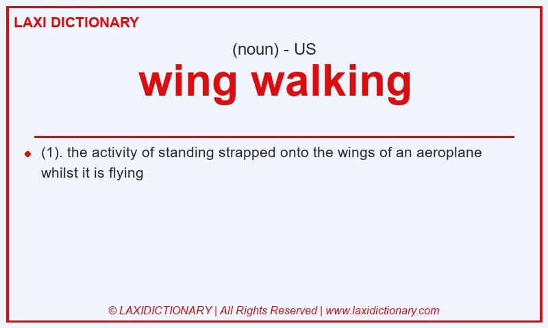 Definition wing walking in American English