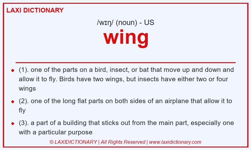 Definition wing in American English