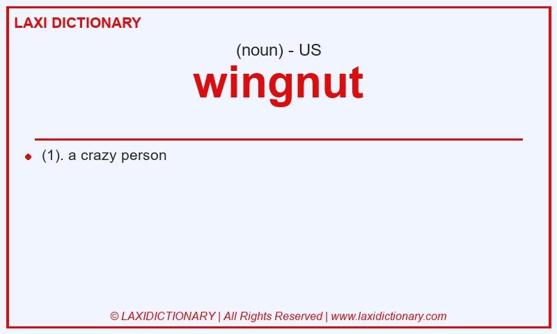 Definition wingnut in American English