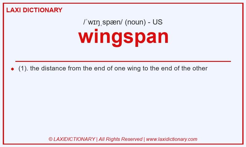 Definition wingspan in American English