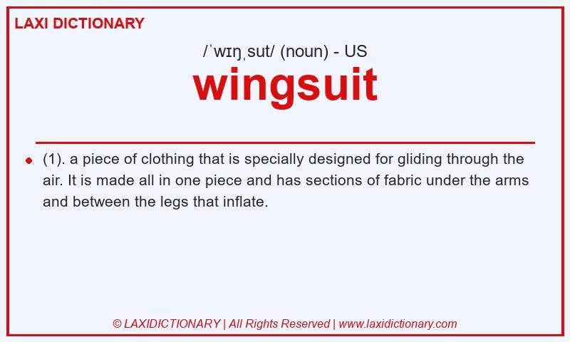 Definition wingsuit in American English