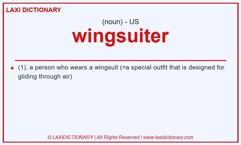 Definition wingsuiter in American English