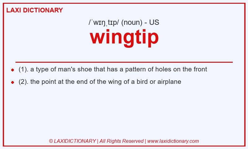 Definition wingtip in American English