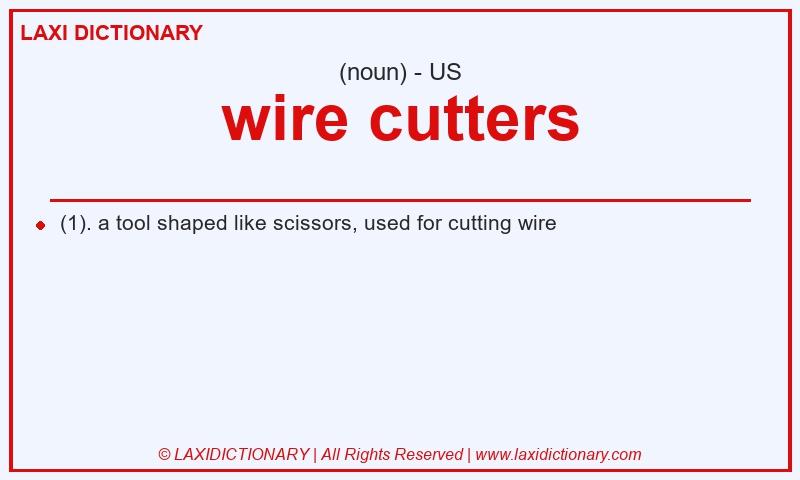 Definition wire cutters in American English