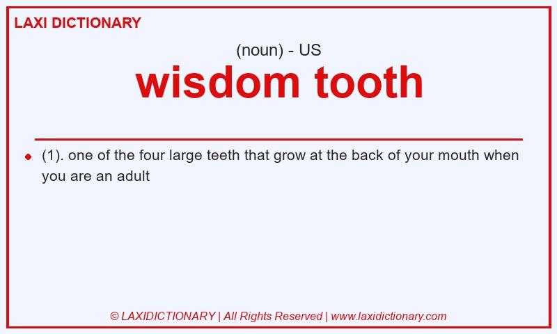 Definition wisdom tooth in American English
