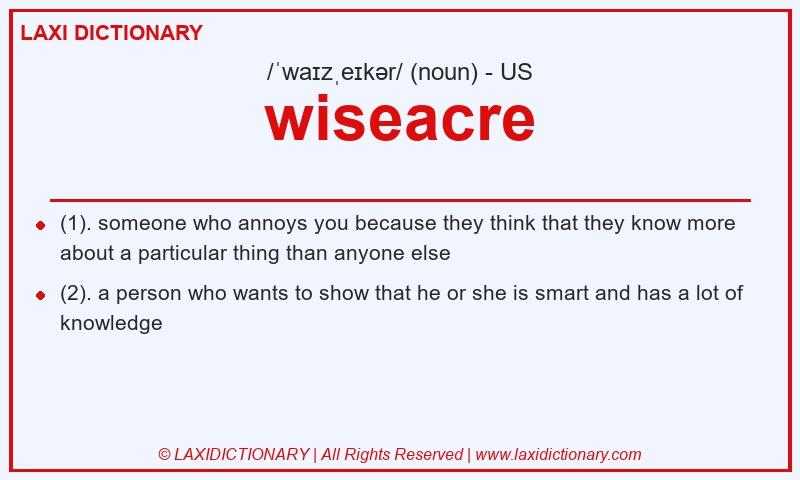 Definition wiseacre in American English