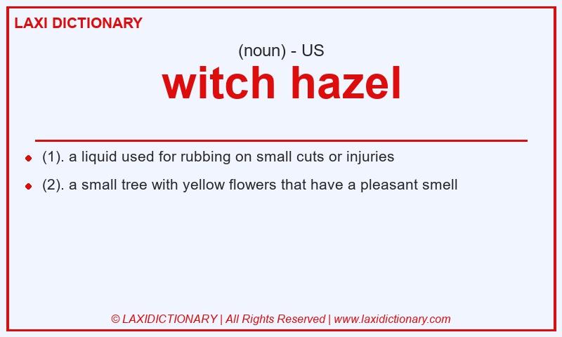 Definition witch hazel in American English