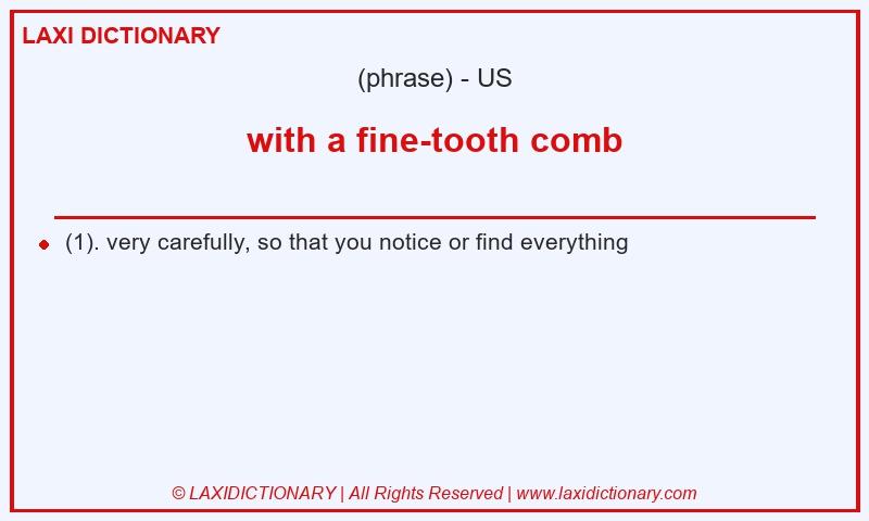 Definition with a fine-tooth comb in American English