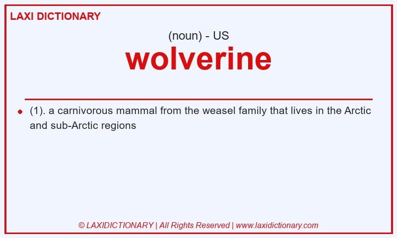 Definition wolverine in American English