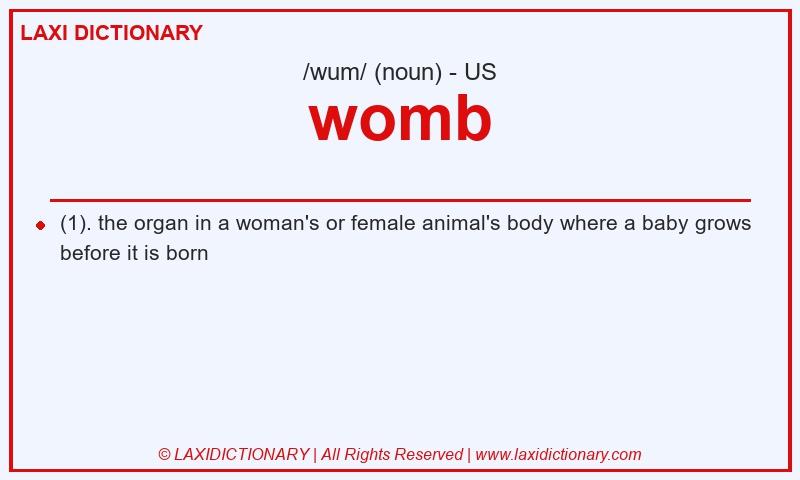 Definition womb in American English
