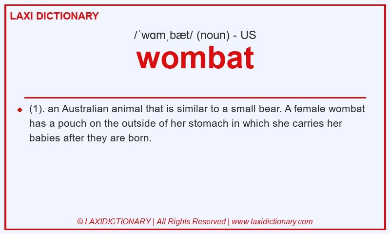 Definition wombat in American English