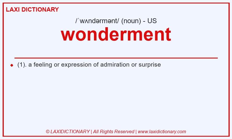 Definition wonderment in American English