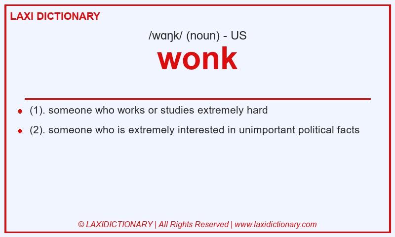 Definition wonk in American English