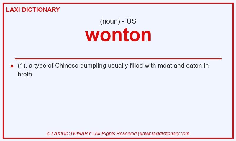Definition wonton in American English