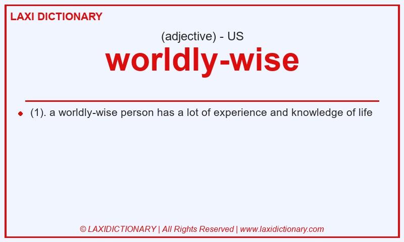 Definition worldly-wise in American English