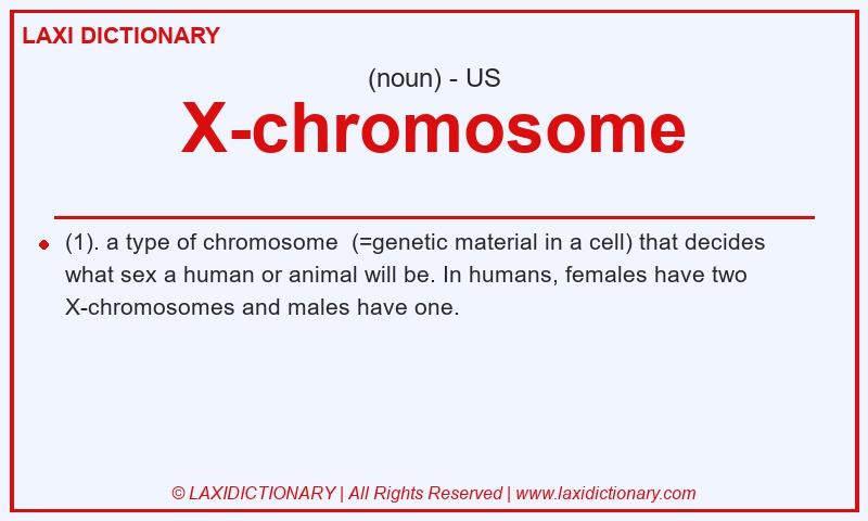 Definition X-chromosome in American English