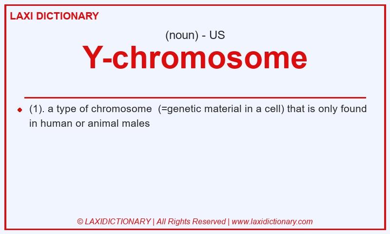 Definition Y-chromosome in American English