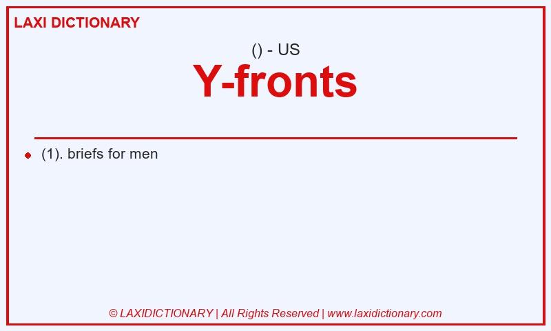 Definition Y-fronts in American English