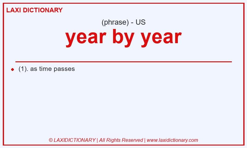 Definition year by year in American English