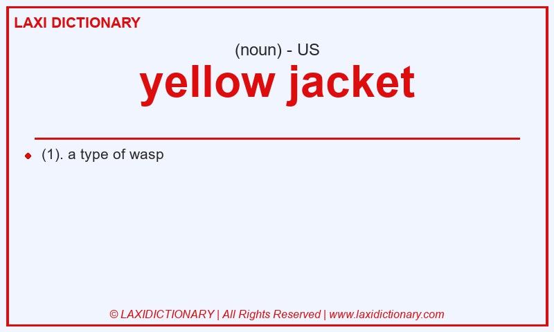 Definition yellow jacket in American English
