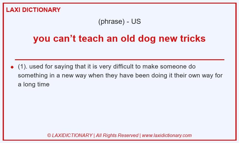 Definition you can’t teach an old dog new tricks in American English