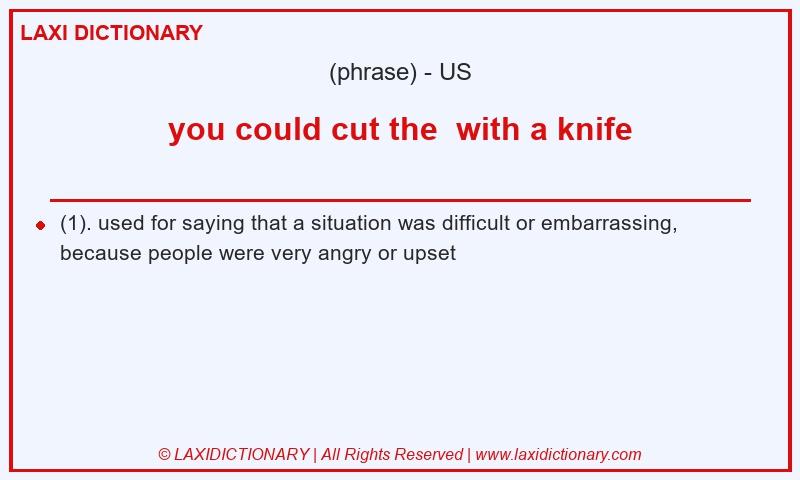 Definition you could cut the  with a knife in American English
