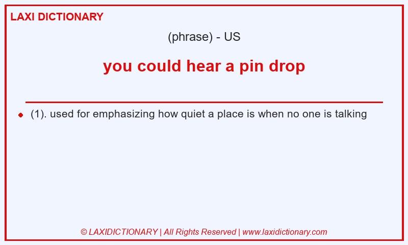 Definition you could hear a pin drop in American English