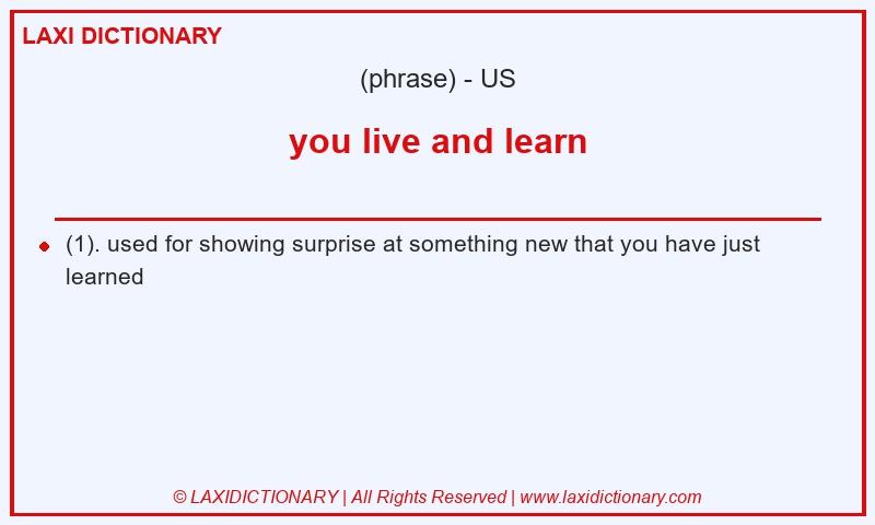 Definition you live and learn in American English