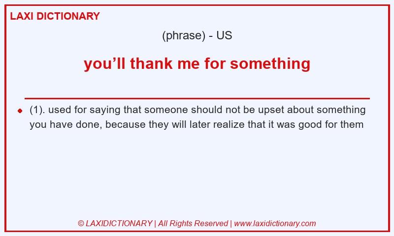 Definition you’ll thank me for something in American English