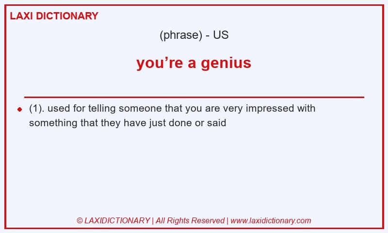 Definition you’re a genius in American English