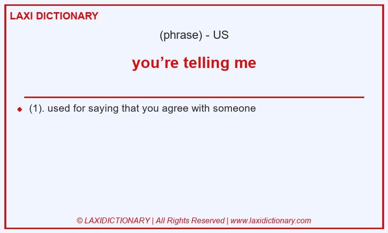Definition you’re telling me in American English