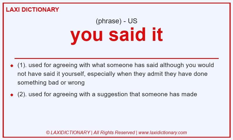 Definition you said it in American English
