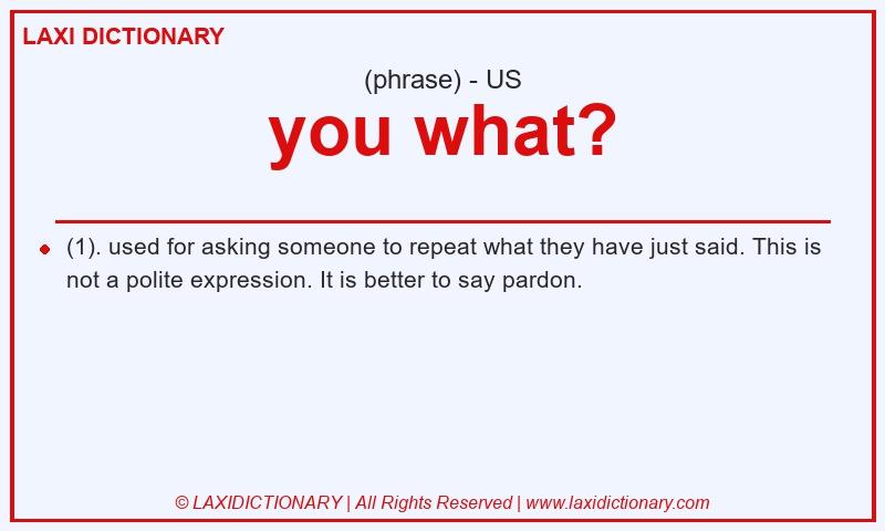 Definition you what? in American English