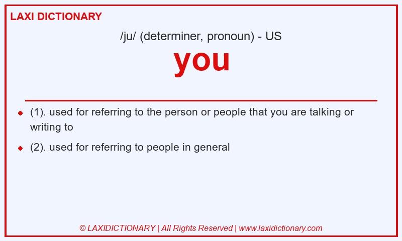 Definition you in American English